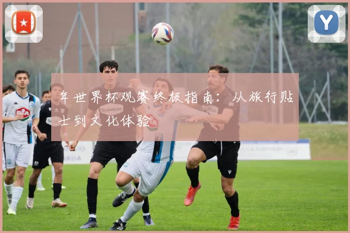 年世界杯观赛终极指南:从旅行贴士到文化体验